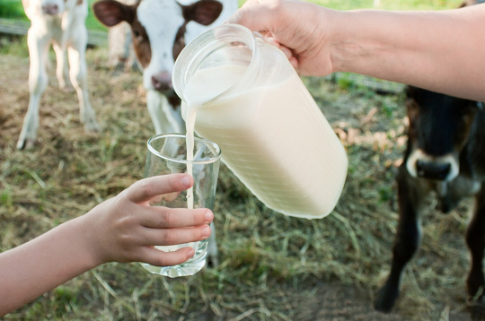Piena produktu grupā, salīdzinot ar pagājušā gada septembri, kopumā vērojams cenu kritums pilnībā visām precēm 8–39% ietvaros.