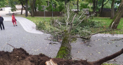 Vētrā izgāzts koks Rīgas centrā.