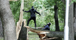 Vētras laikā Rīgā, Viesturdārzā, nolauzti koki.