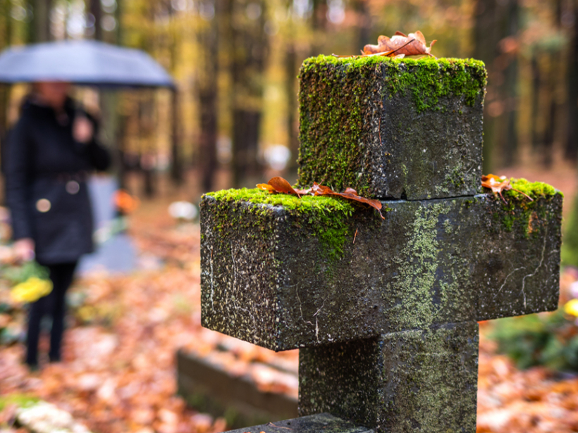 Sūnu augšanas profilaksei pieminekļus tīra vismaz divreiz gadā.