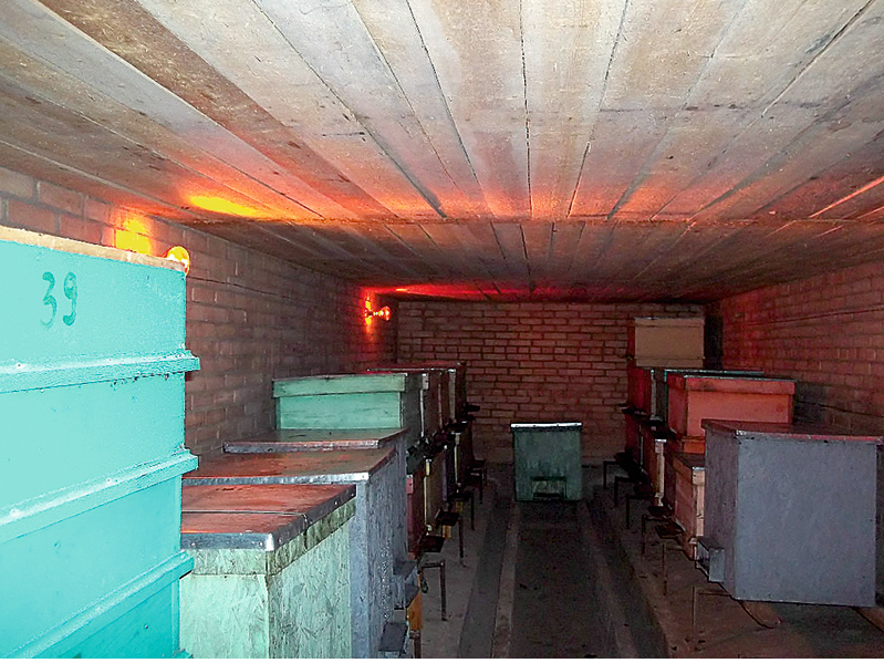 Bites ultravioletā spektra gaismu neredz, un bitenieks var netraucēti rosīties ap stropiem.