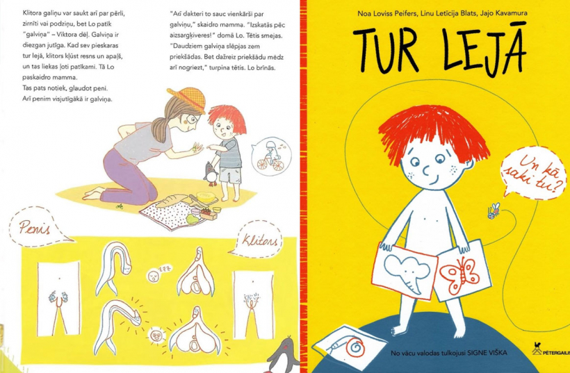 Diskusijas izraisījušās grāmatas "Tur lejā" vāks.