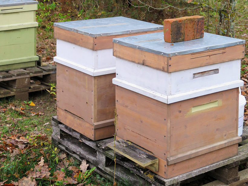 Nelielie koka stropi kalpo labi, ir viegli cilājami.