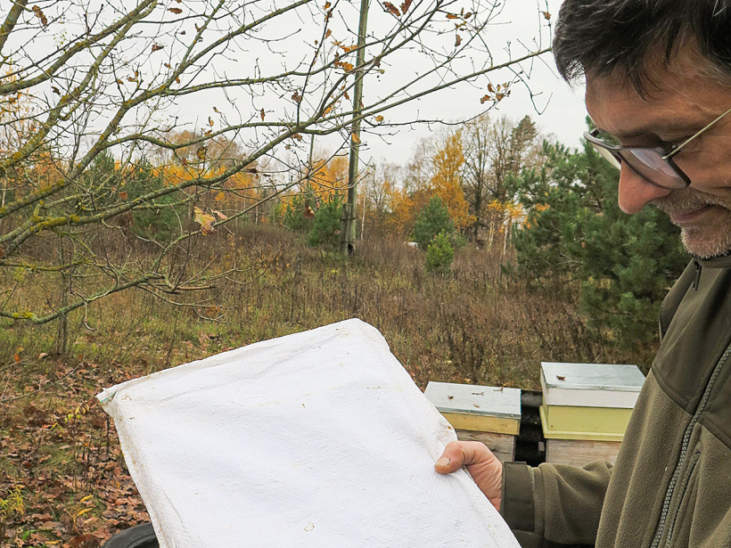 Gabaliņš putuplasta maisā ir labs un lēts siltināmais materiāls ziemai, kas mitrumā nepelē.