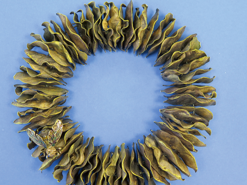 Vainags no dekoratīvajām pupām.