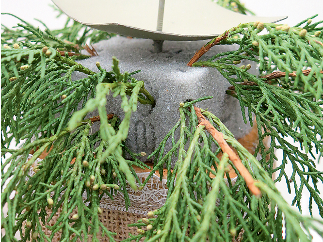 Tūjas zariņi oāzē.