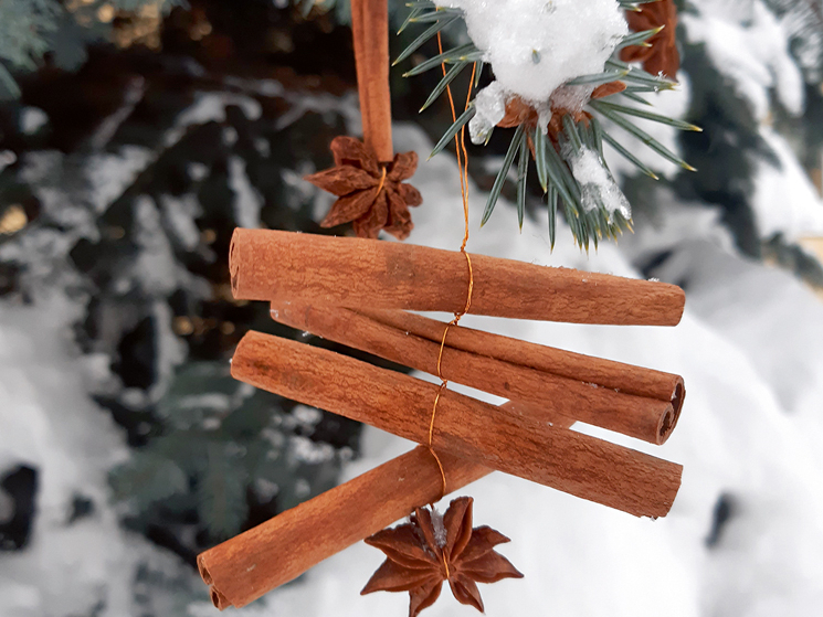 Kanēļa standziņu un anīsa dekorējums.