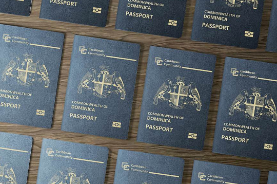 Dominikas pasu īpašnieki var ceļot bez vīzas uz 113 valstīm, arī uz visām 27 Eiropas Savienības dalībvalstīm. Šādas pases cena ir 100 000 eiro.