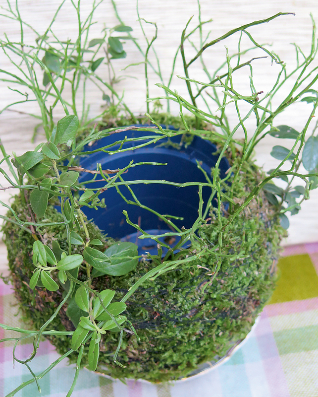 Sūnu bumba aptīta ap tukšu puķpodiņu, kurā ievieto un maina dažādus ziedošos augus.