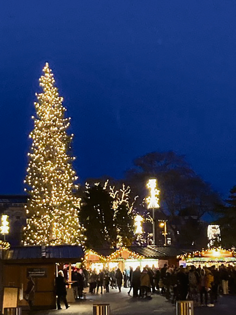 Viens no daudzajiem Ziemassvētku tirdziņiem, kas pulcē cilvēku pūļus Vīnes centrā.