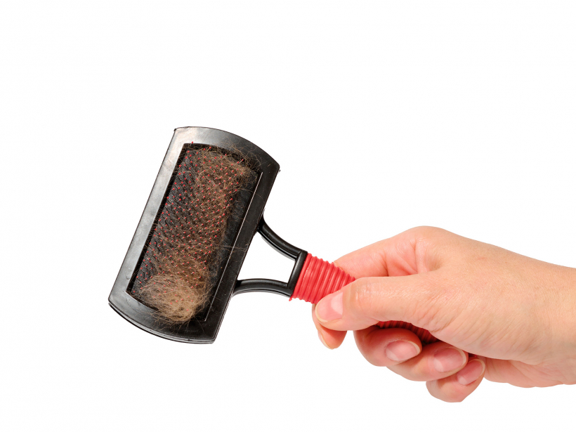 Suņus ķemmē visu gadu, tomēr lielākā daļa pavilnas tiek iegūta, kad suns met spalvu.