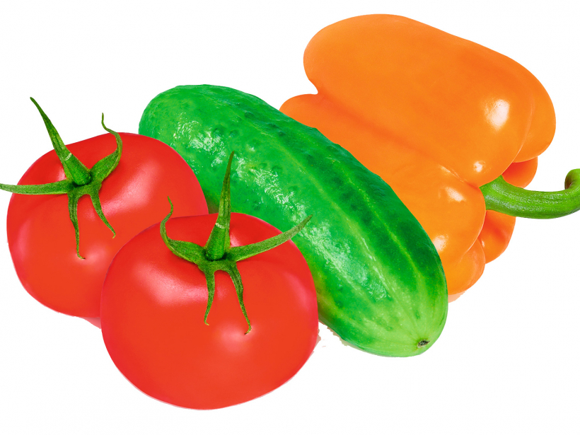 Audzējot kopā gurķus, papriku un tomātus, pastiprināta uzmanība jāpievērš slimību un kaitēkļu izplatībai.