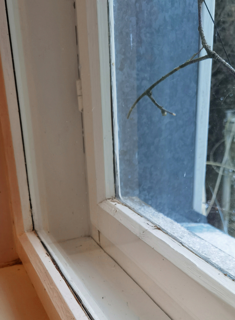 Pietiekamas gaisa apmaiņas gadījumā uz koka logiem neveidosies kondensāts.