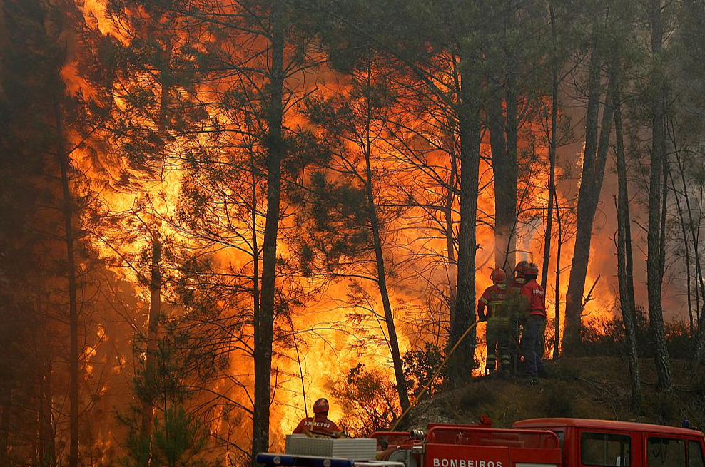 Portugāles mežu ugunsgrēki, kas kopš 2017. gada atkārtojušies ik gadu, izraisījuši Portugāles jauniešu prasību tiesā par Eiropas valstu nepietiekamo rīcību klimata pārmaiņu ierobežošanā.