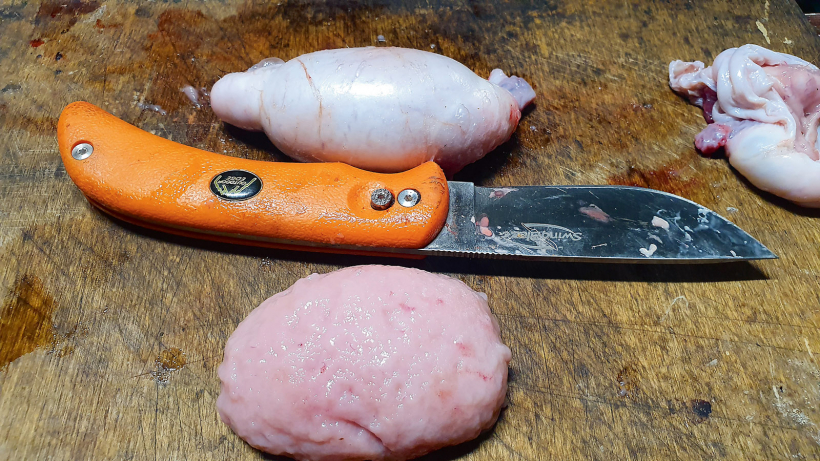 Attēlā viens notīrīts sēklinieks, bet otrs joprojām baltumapvalkā.