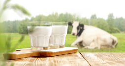 Lai gan slaucamo govju skaits sarūk, nodotā piena apmērs aug, kas liecina par ganāmpulku produktivitātes pieaugumu.