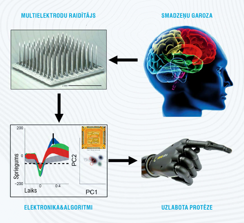 Bezvadu sistēma, kas nodrošina sakarus starp datoru un cilvēka smadzenēm.