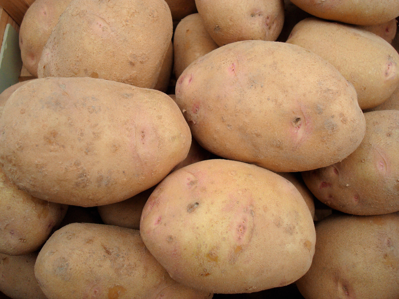 ‘Imantai’ raksturīgs balts mīkstums.