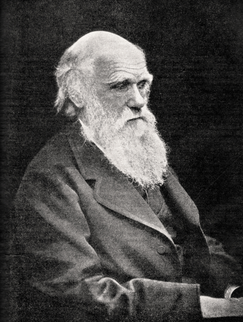 Čārlzs Darvins bārdu dēvēja par “rotājumu, kas palielina tēviņu pievilcību”.