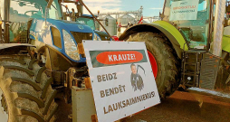 Uz lauksaimnieku protesta mītiņu Bauskas pievārtē bija ieradušies vismaz 120 traktori. Gandrīz uz visiem piestiprināti plakāti ar dažādiem saukļiem un prasībām.