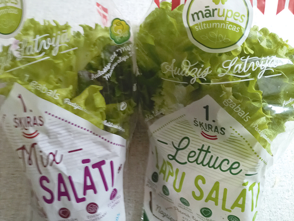 Pašlaik tiek audzēti divi produkti – trīs šķirnes (viena no tām sarkanām lapām) vienā podā un divas zaļo salātu šķirnes vienā podā.