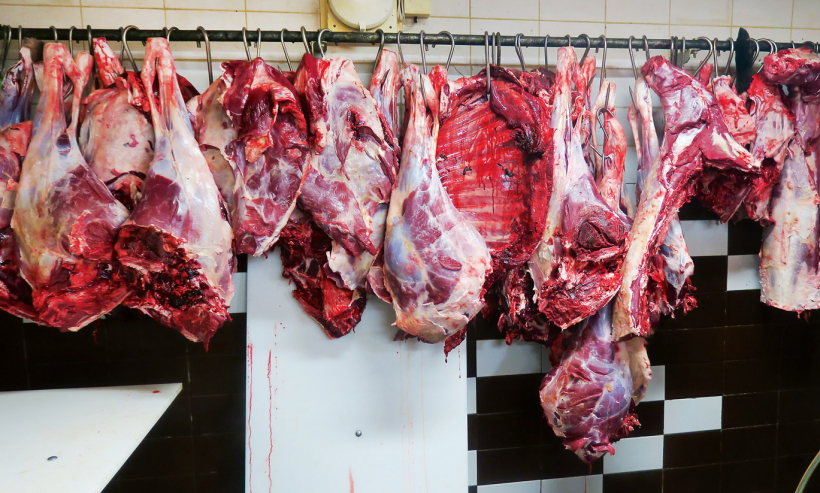 Stienis medījuma pakarināšanai pirms galīgās apstrādes.