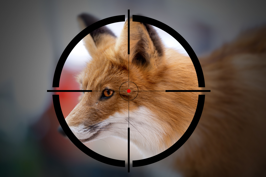 Lai mednieks justos droši atšķirīgās medību situācijās, ierocis iepriekš jāpiešauj dažādās distancēs šautuvē.
