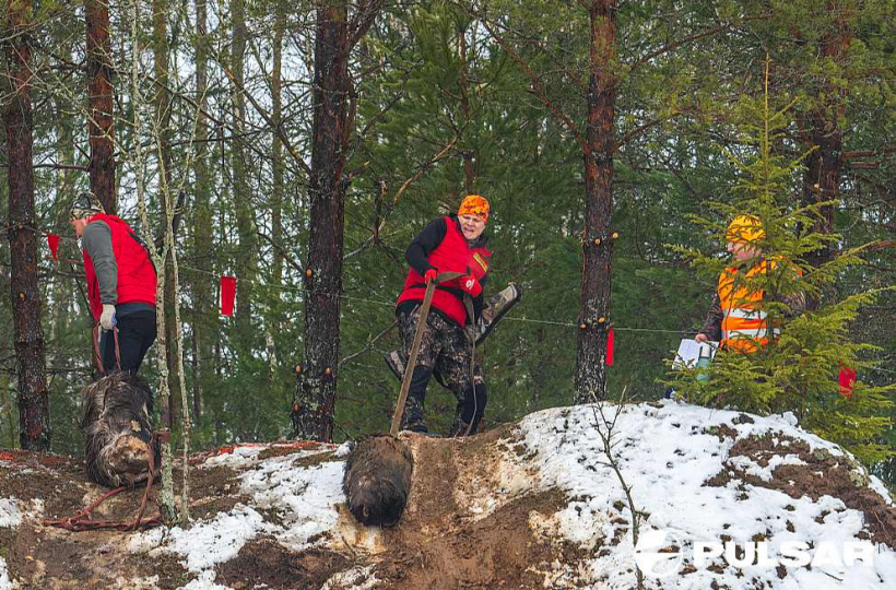 Katras mednieku komandas dalībniekiem bija jāsacenšas, velkot kalnā trofeju – ādā ietītu koka bluķi.