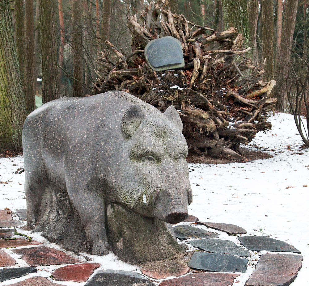 Pirmā dāvana tikko izveidotajam Rīgas zooloģiskajam dārzam savulaik bija mežacūka Trīne – no Turkestānas konsula. Trīne iemūžināta skulpturālā veidojumā. 