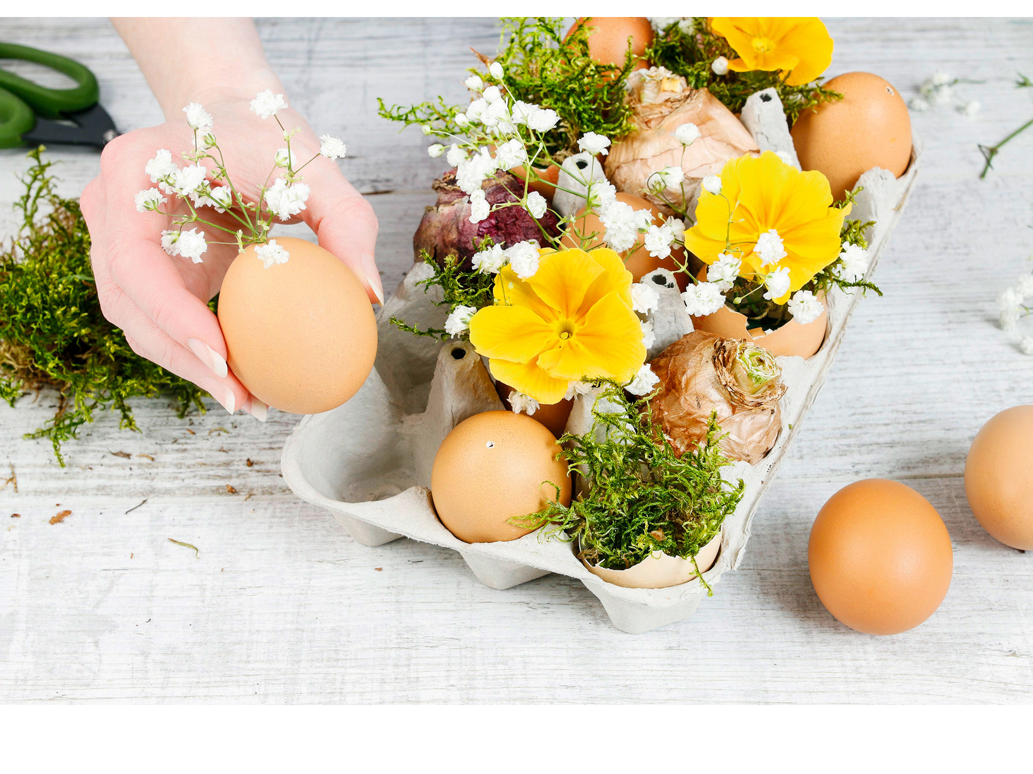 Kā trauku var izmantot olu breketes, kur saliek izpūstās olas, rotā ar ziediem, sūnām, sīpoliem.