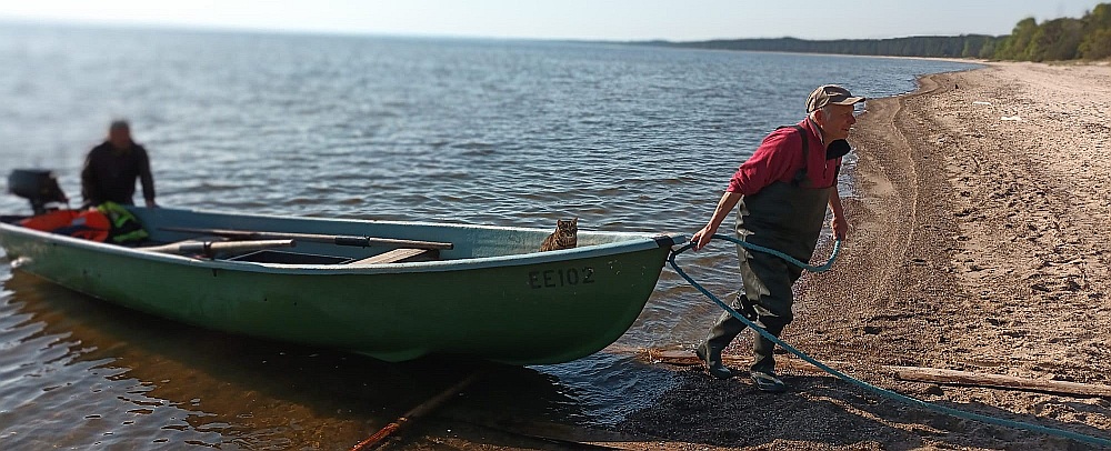 Jau vairākus gadus tieši kaķi esot pirmie, kas Ilmāru vienmēr sagaidot krastā. Kaķi braucot arī jūrā, ja vien zvejniekam stāvvadi un murdi nav izlikti pārāk tālu.