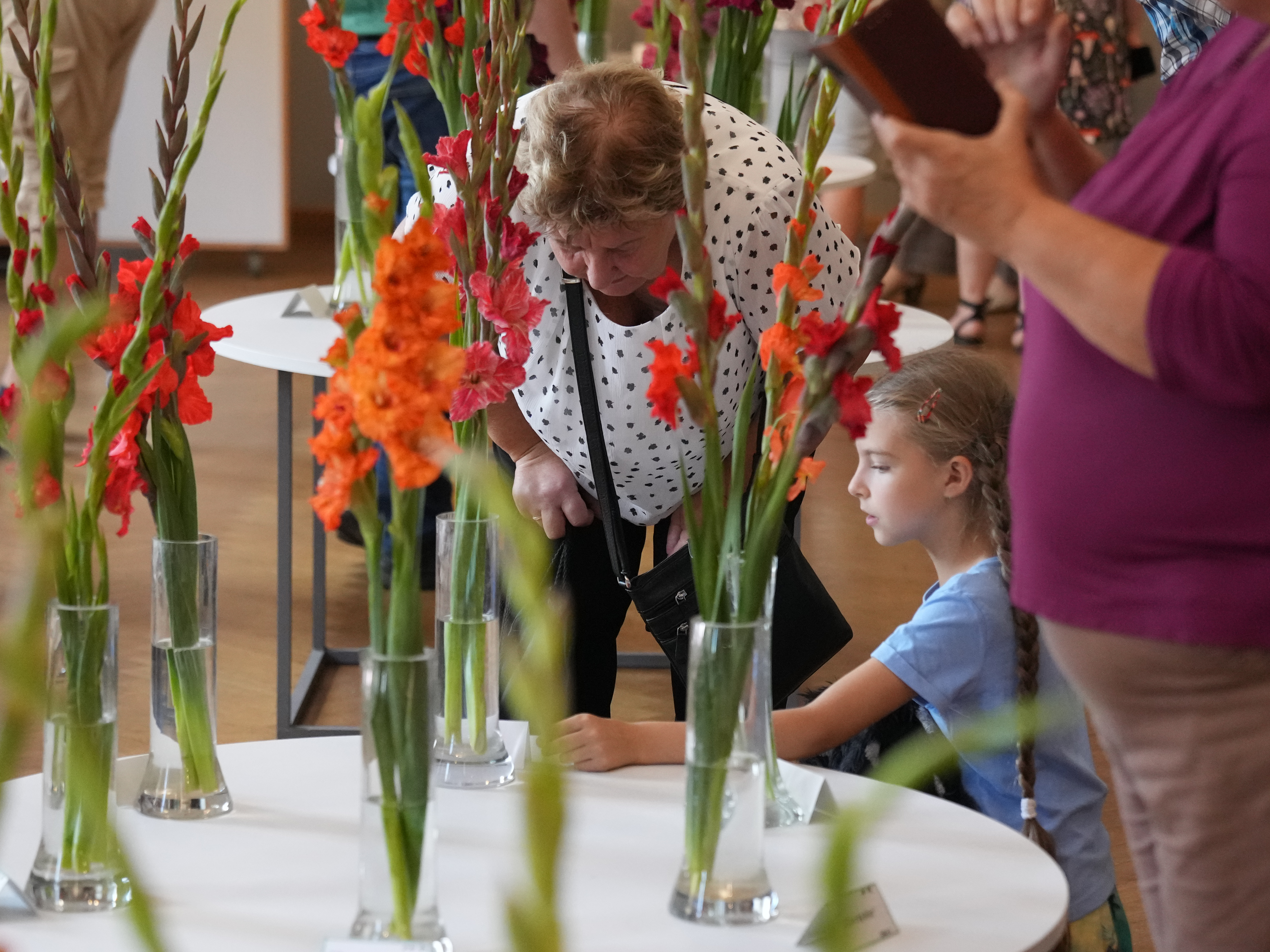 Ziedu izstāde "Gladiolas 2023" Latvijas Dabas muzejā.