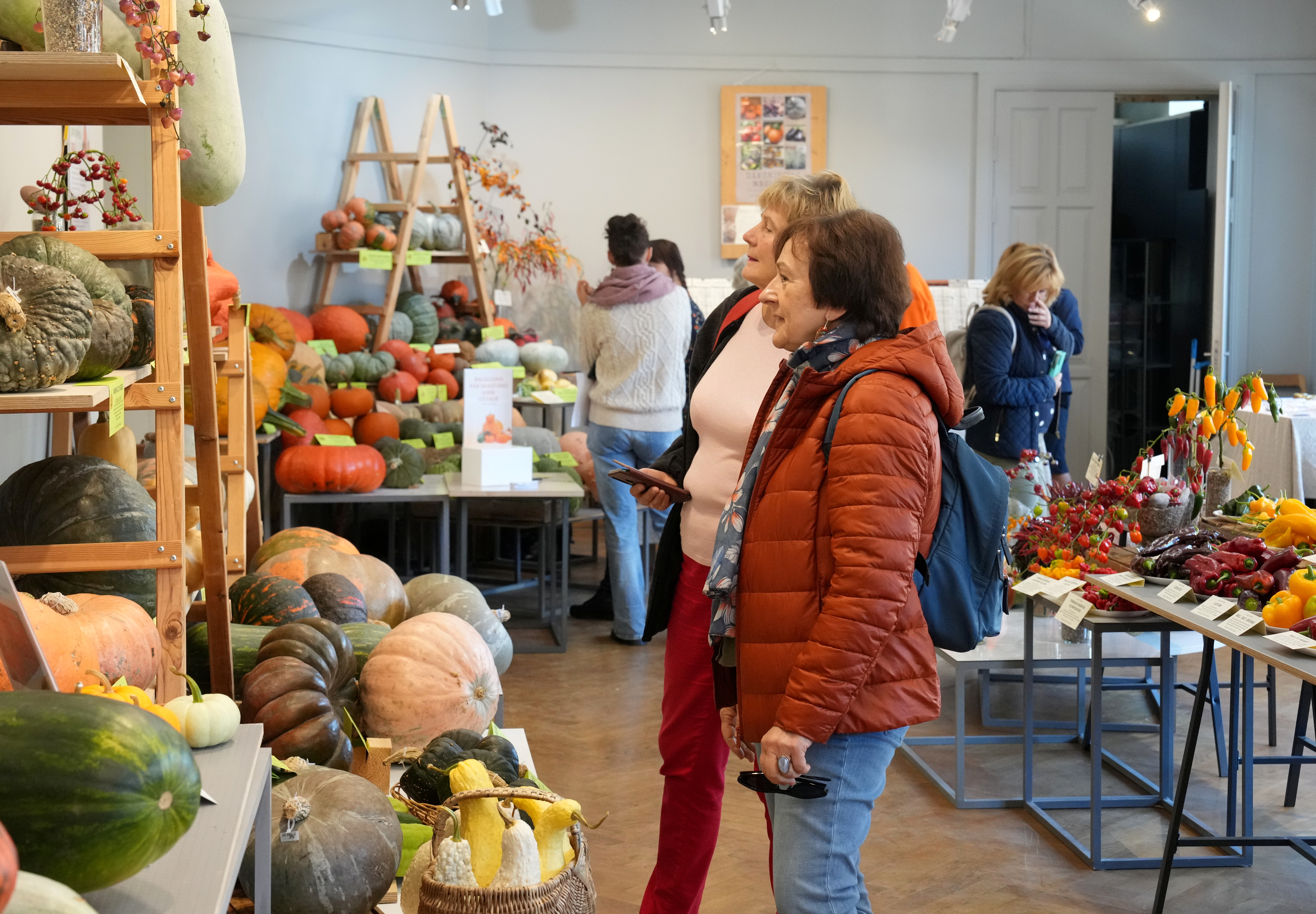 Izstāde "Ķirbjaugi un paprika 2024" Latvijas Dabas muzejā.