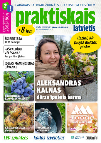 Praktiskais Latvietis
