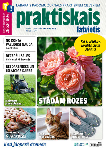 Praktiskais Latvietis