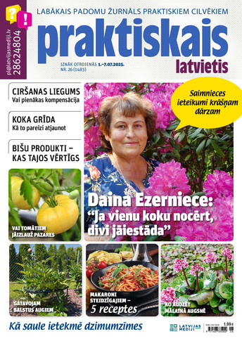 Praktiskais Latvietis