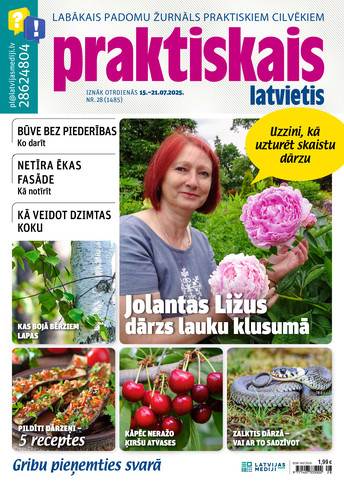 Praktiskais Latvietis