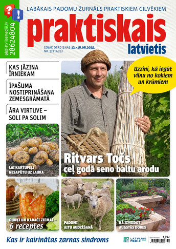 Praktiskais Latvietis