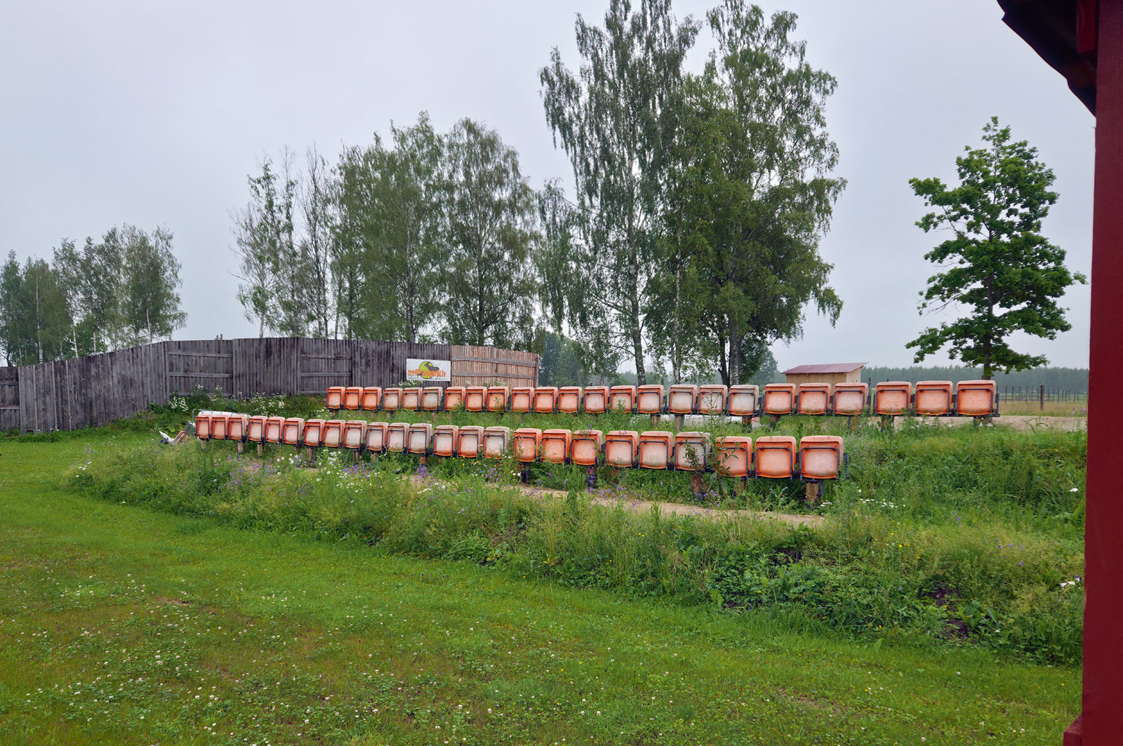 Jasmīnu šautuvē.