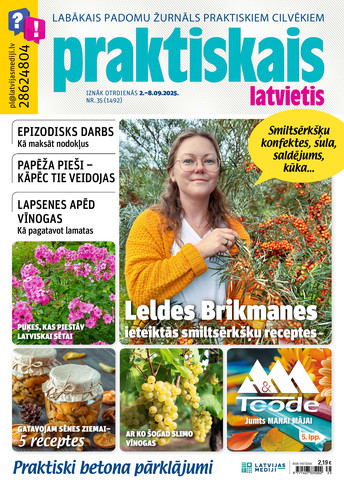 Praktiskais Latvietis