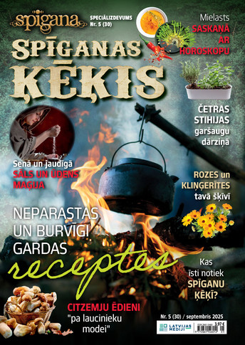 Spīgana  ar Pielikumiem | e-izdevumi