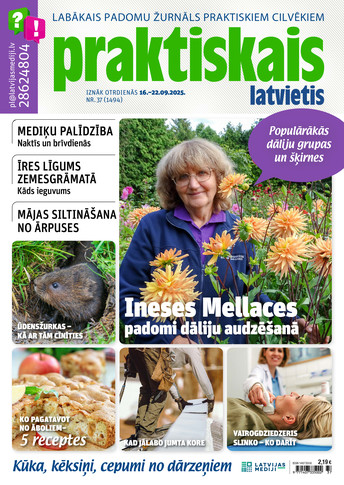 Praktiskais Latvietis