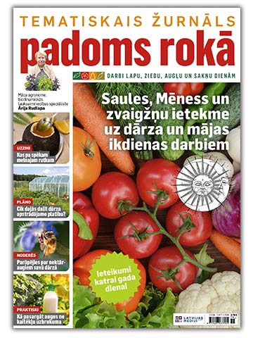Padoms Rokā