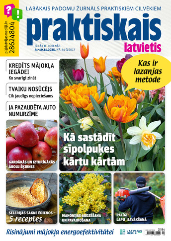 Praktiskais Latvietis