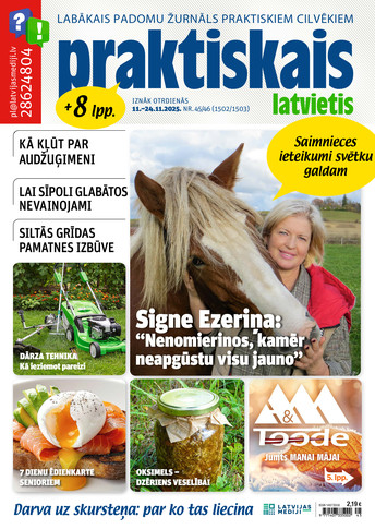 Praktiskais Latvietis