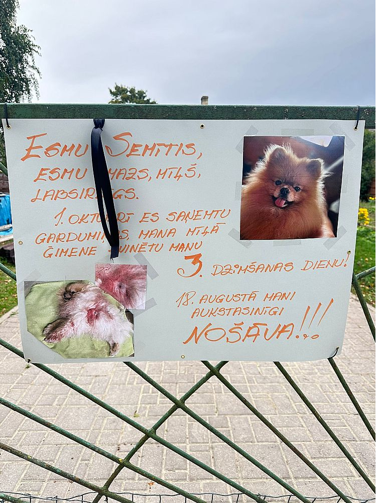 Vairāki Jēkabpils iedzīvotāji 22. septembrī vienojās kluso plakātu akcijā Dārznieku ielā, kur atgādināja par nošautajiem vai ievainotajiem suņiem.