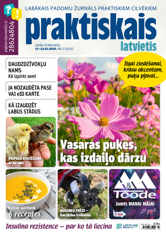 Praktiskais Latvietis