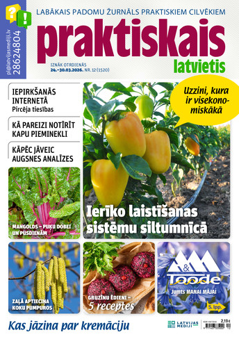 Praktiskais Latvietis