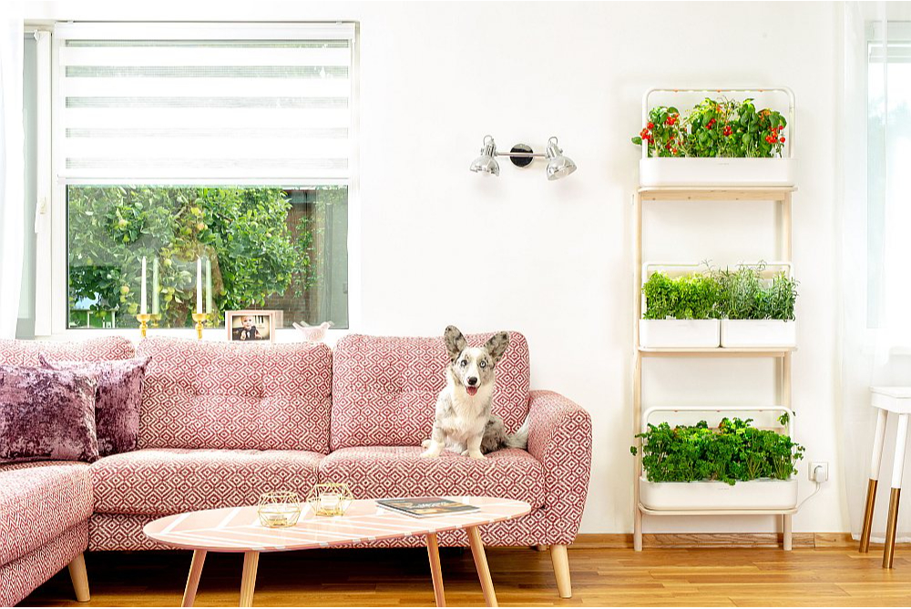 Vairāku stāvu plaukti ir ērti un telpā rada harmonisku izskatu.