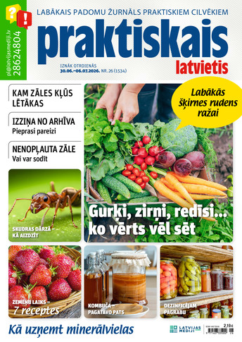Praktiskais Latvietis Praktiskais Latvietis